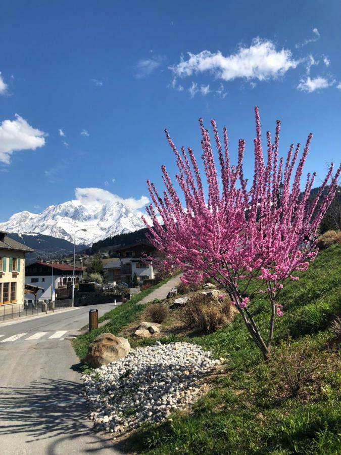 Le Floralp Aparthotel Combloux Exteriör bild
